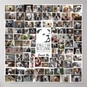 EBRN Rescue Poster (Voorkant)