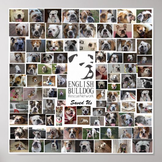 EBRN Rescue Poster (Voorkant)