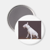 EBT MAGNEET (Voorkant / Achterkant)