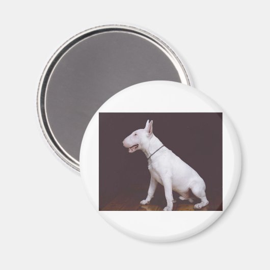 EBT MAGNEET (Voorkant / Achterkant)