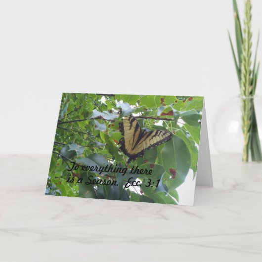 Ecclesiasta 3:1 Op alles is er een seizoen Kaart (Voorkant)