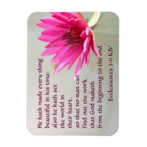 Ecclesiastes 3:11 Alles mooi in zijn tijd