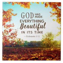 Ecclesiastes 3:11 Hij heeft alles mooi gemaakt