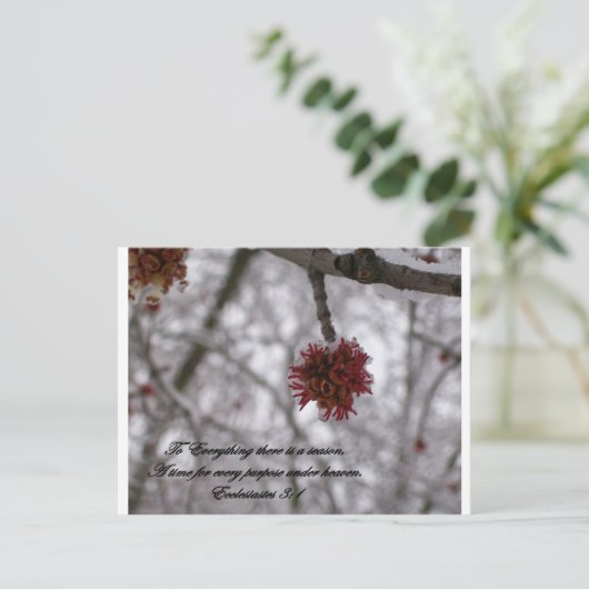 Ecclesiastes 3:1 briefkaart (Staand voorkant)