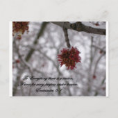 Ecclesiastes 3:1 briefkaart (Voorkant)