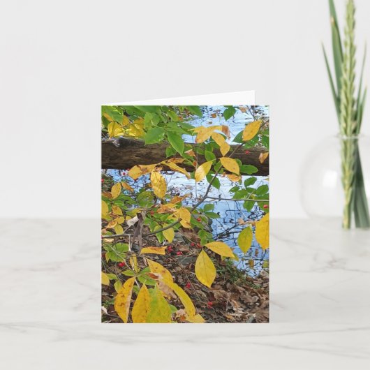 Ecclesiastes 3:1 kaart (Voorkant)