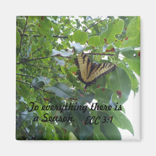 Ecclesiastes 3:1 Op alles is er een seizoen Magneet (Voorkant)
