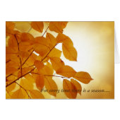 Ecclesiastes 3 Seizoensbestrijding (Voorkant Horizontaal)