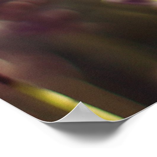 Ecclesiastes Verse Poster (Hoek)