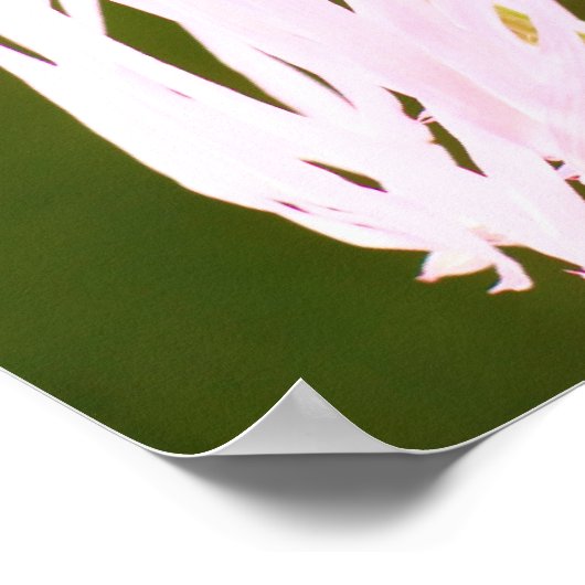 Ecclesiastes Verses Poster (Hoek)