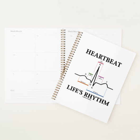 ECG ECG Electrocardiogram Planner (Display)