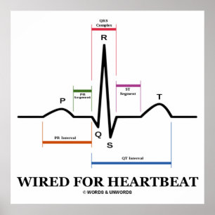 ECG / EKG / ECG / ECG POSTER