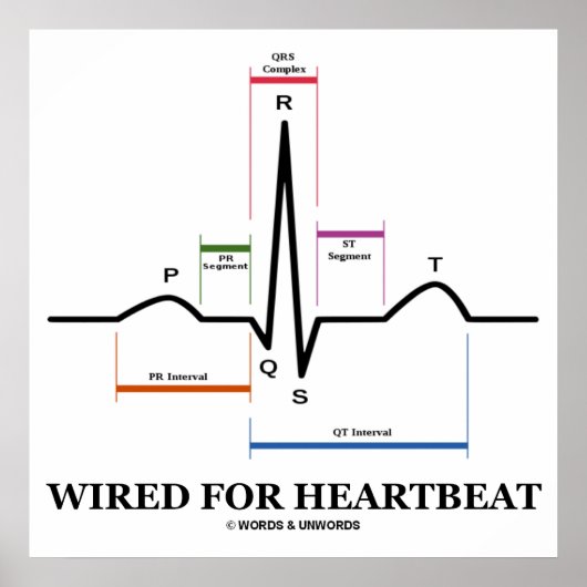 ECG / EKG / ECG / ECG POSTER (Voorkant)