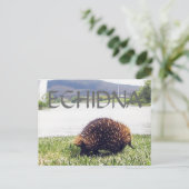 Echelna dierlijke natuur aanpassen personaliseren briefkaart (Staand voorkant)