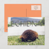 Echelna dierlijke natuur aanpassen personaliseren briefkaart (Voorkant / Achterkant)