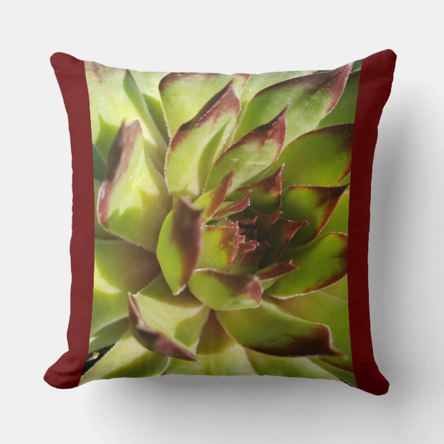 Echeveria Agavoides Pillow Kussen (Voorkant)