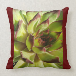 Echeveria Agavoides Pillow Kussen
