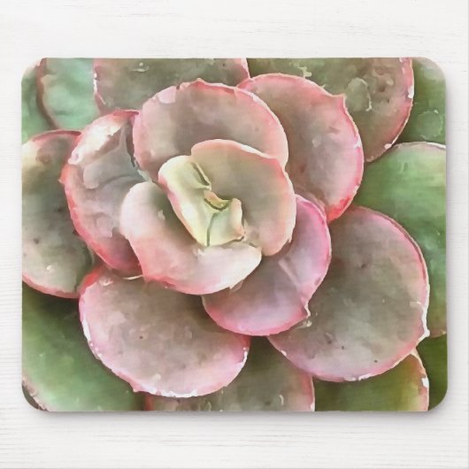 Echeveria Cactus Succulent Acrylverf Muismat (Voorkant)
