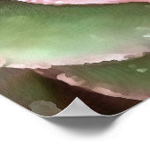 Echeveria Cactus Succulent Acrylverf Poster (Hoek)