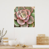 Echeveria Cactus Succulent Acrylverf Poster (Keuken)