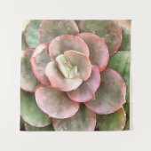 Echeveria Cactus Succulent Acrylverf Wandkleed (Voorkant)