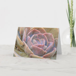 Echeveria Cactus Succulent Art Note Kaart