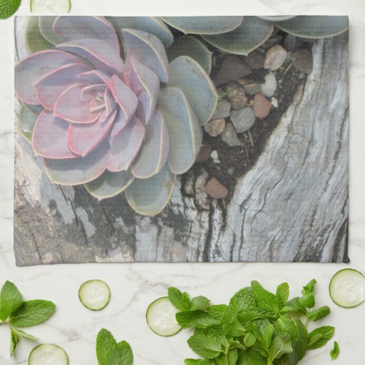 Echeveria Dish Towel Theedoek (Gevouwen)