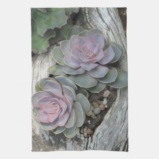 Echeveria Dish Towel Theedoek (Verticaal)