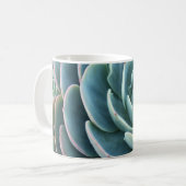 Echeveria mok koffie (Voorkant links)