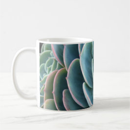 Echeveria mok koffie