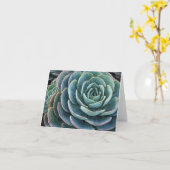 Echeveria notecard kaart (Gele Bloem)