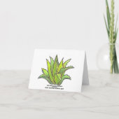 Echeveria notecard kaart (Achterkant)
