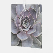 ECHEVERIA-PLANT (SAPPIG) GLAS ORNAMENT (Voorkant links)