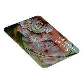 Echeveria Roos Succulent Leven is moeilijk Magneet (Rechterzijde)