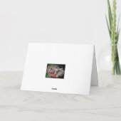 Echeveria Roos succulent met diepste sympathie Kaart (Achterkant)