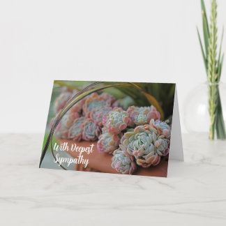 Echeveria Roos succulent met diepste sympathie Kaart