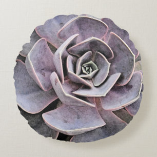 Echeveria "roos" succulent rond kussen