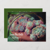 Echeveria Roos Succulent Save the Date Feestdagenkaart (Voorkant / Achterkant)