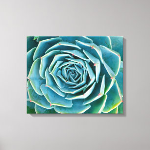 Echeveria rozet, Geheimtuin van Marrakech Canvas Afdruk