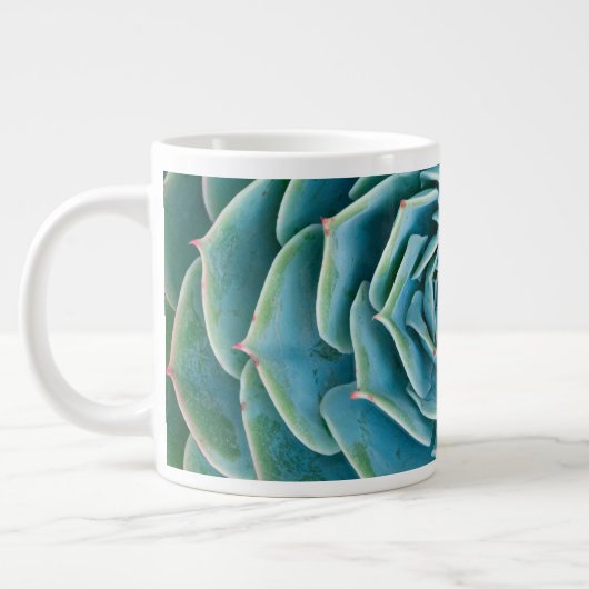 Echeveria rozet, Geheimtuin van Marrakech Grote Koffiekop (Links)