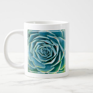 Echeveria rozet, Geheimtuin van Marrakech Grote Koffiekop