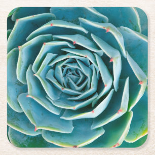 Echeveria rozet, Geheimtuin van Marrakech Kartonnen Onderzetters
