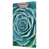 Echeveria rozet, Geheimtuin van Marrakech Klembord (Links)