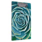 Echeveria rozet, Geheimtuin van Marrakech Klembord (Rechts)