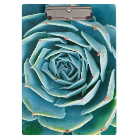 Echeveria rozet, Geheimtuin van Marrakech Klembord (Voorkant)