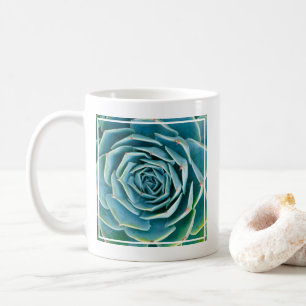 Echeveria rozet, Geheimtuin van Marrakech Koffiemok