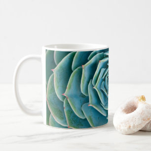 Echeveria rozet, Geheimtuin van Marrakech Koffiemok