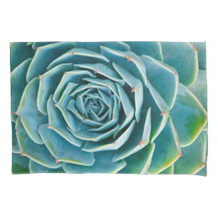 Echeveria rozet, Geheimtuin van Marrakech Kussensloop