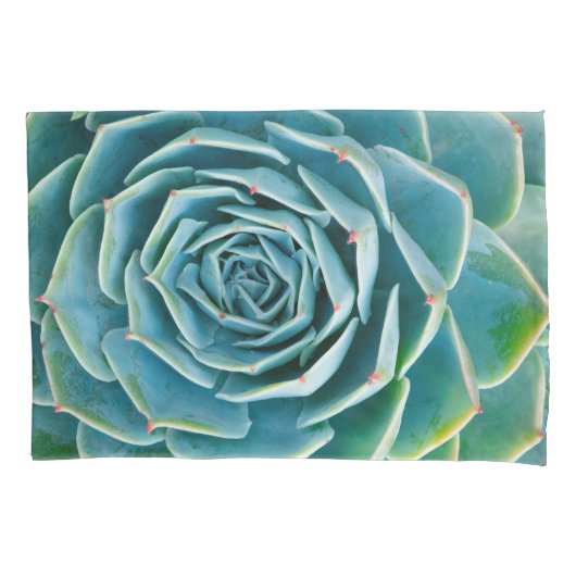 Echeveria rozet, Geheimtuin van Marrakech Kussensloop (Voorkant)