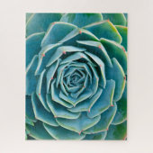 Echeveria rozet, Geheimtuin van Marrakech Legpuzzel (Verticaal)